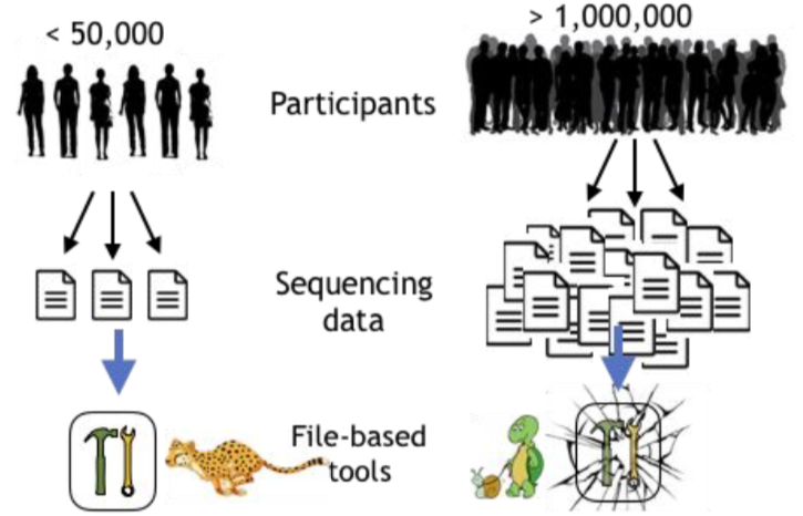 Scaling to 1M genomic samples for the All of Us research program