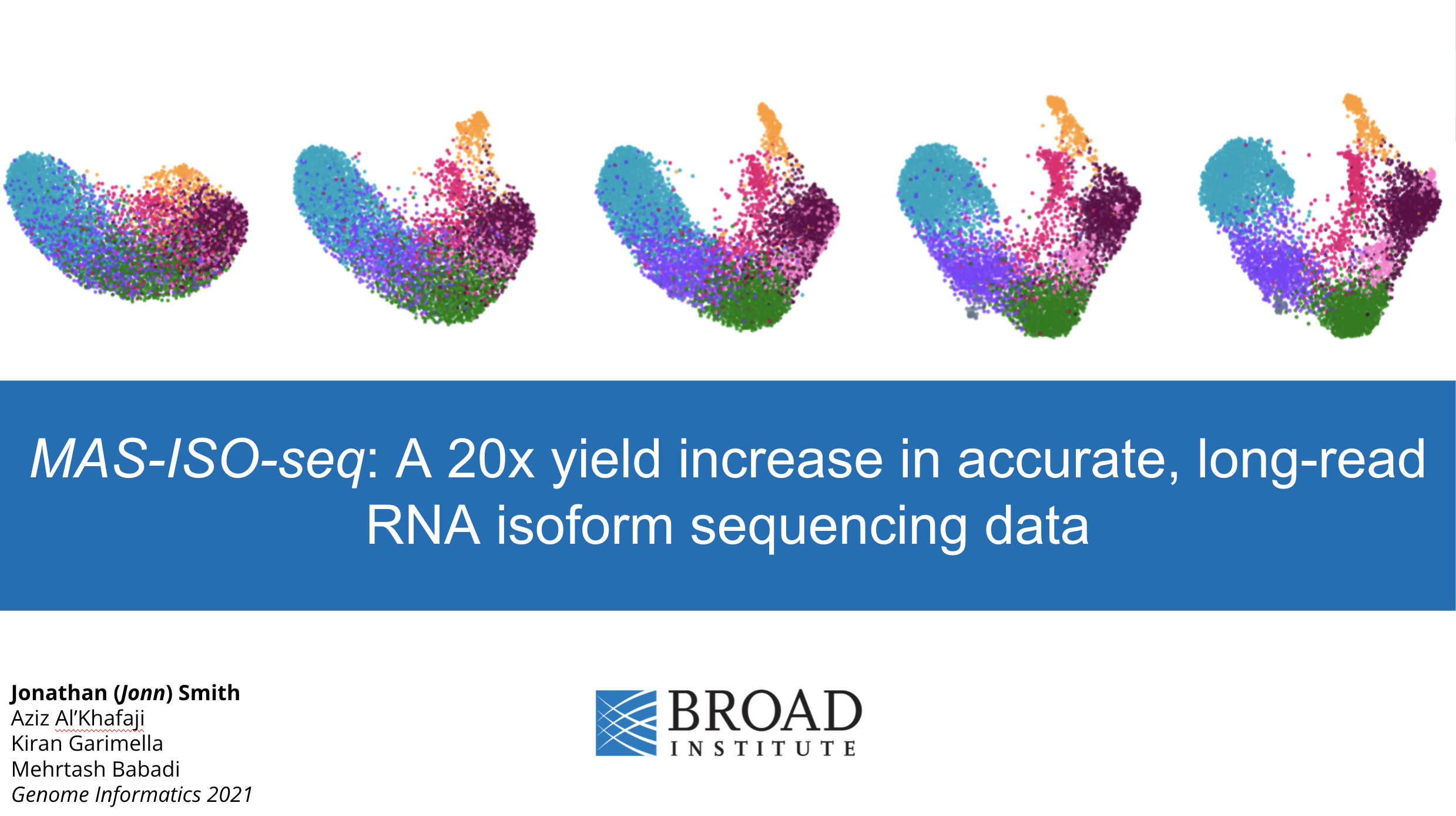 MAS-ISO-seq: A 20x yield increase in accurate, long-read RNA isoform sequencing data
